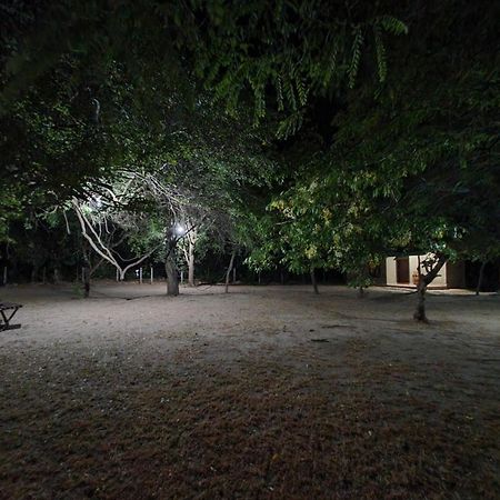 Clay Hut Village Polonnaruwa Ngoại thất bức ảnh