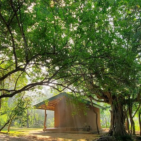 Clay Hut Village Polonnaruwa Ngoại thất bức ảnh