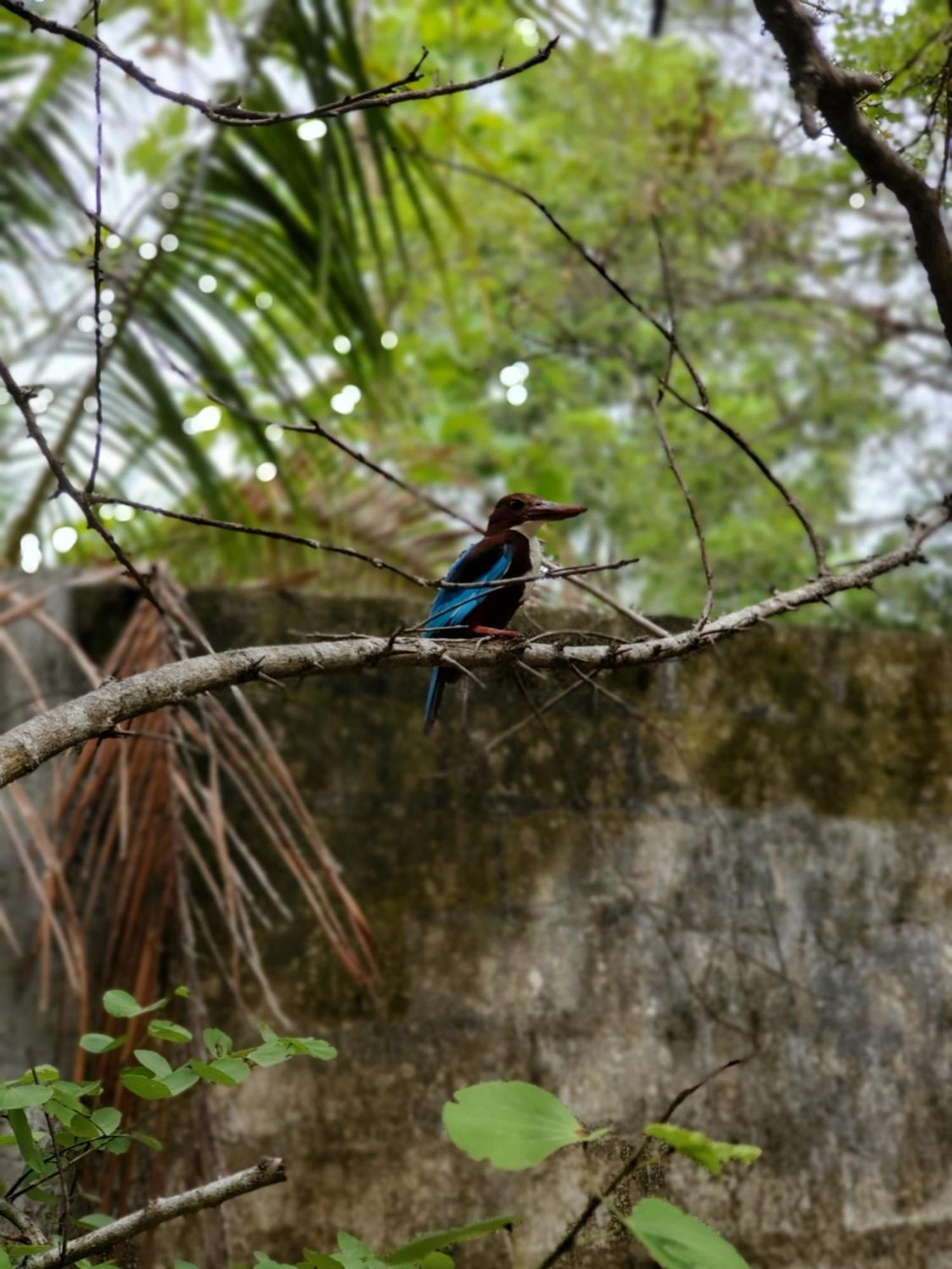 Clay Hut Village Polonnaruwa Ngoại thất bức ảnh