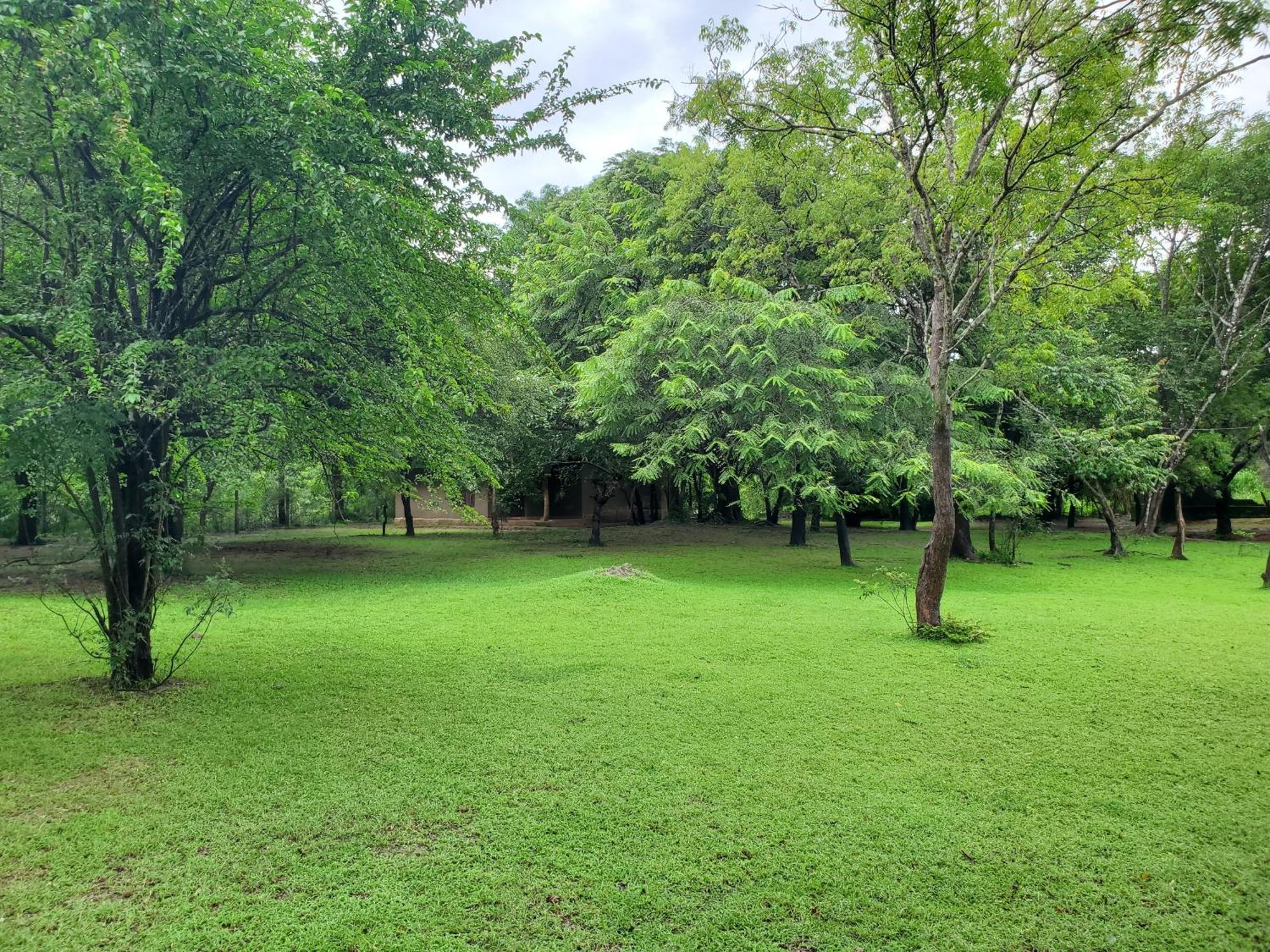 Clay Hut Village Polonnaruwa Ngoại thất bức ảnh