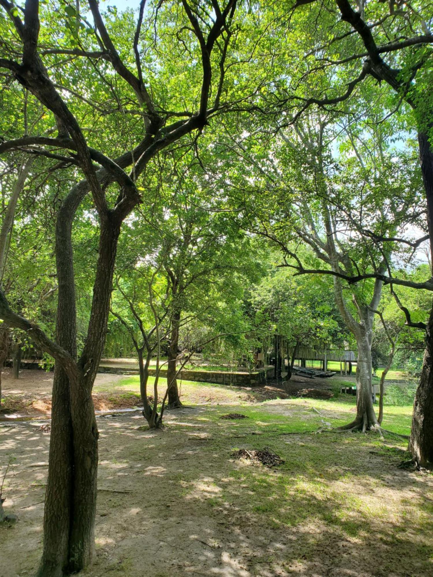 Clay Hut Village Polonnaruwa Ngoại thất bức ảnh