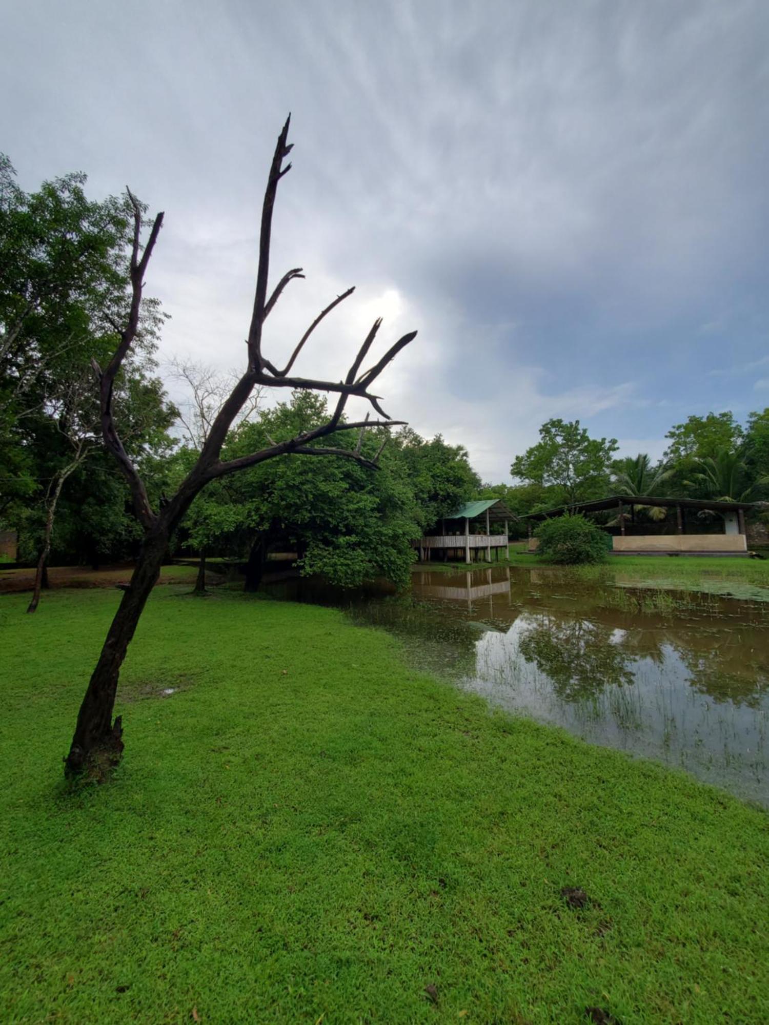 Clay Hut Village Polonnaruwa Ngoại thất bức ảnh