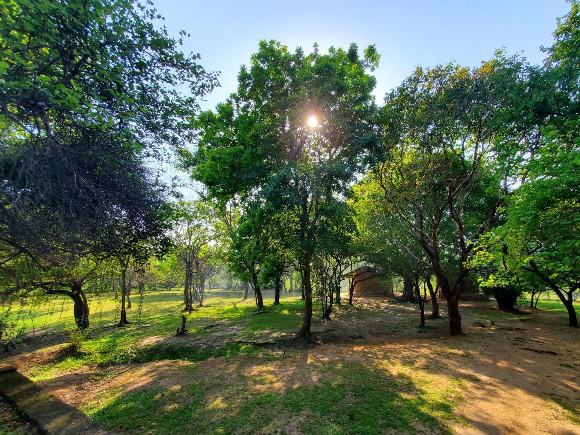 Clay Hut Village Polonnaruwa Ngoại thất bức ảnh