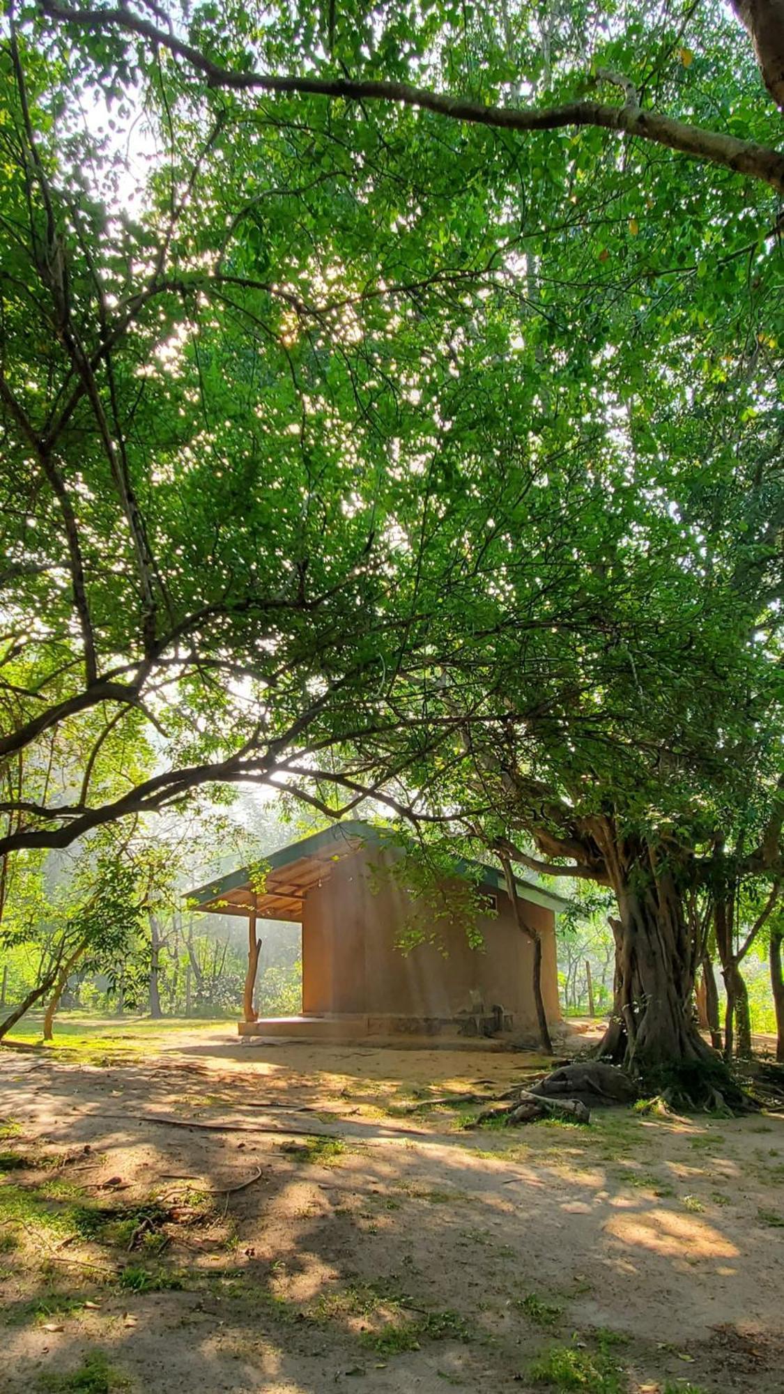 Clay Hut Village Polonnaruwa Ngoại thất bức ảnh